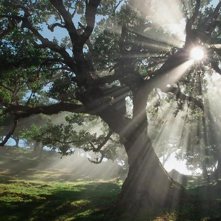 Apartment Piornais Views, Perto Da Formosa *